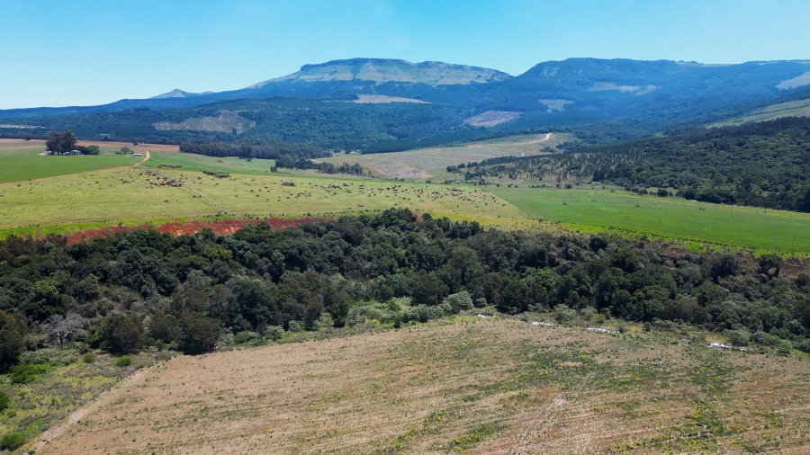 0 Bedroom Property for Sale in Stutterheim Rural Eastern Cape